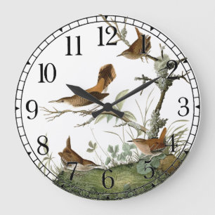 Audubon Wren Birds Wildlife Animal Wall Clock Stor Klocka