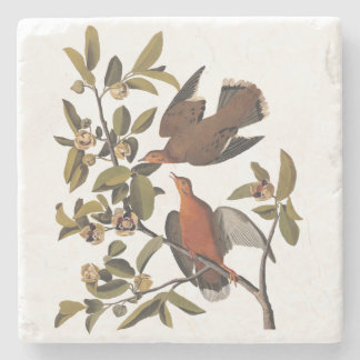 Audubon Zenaida Dove med Flowers Stenunderlägg