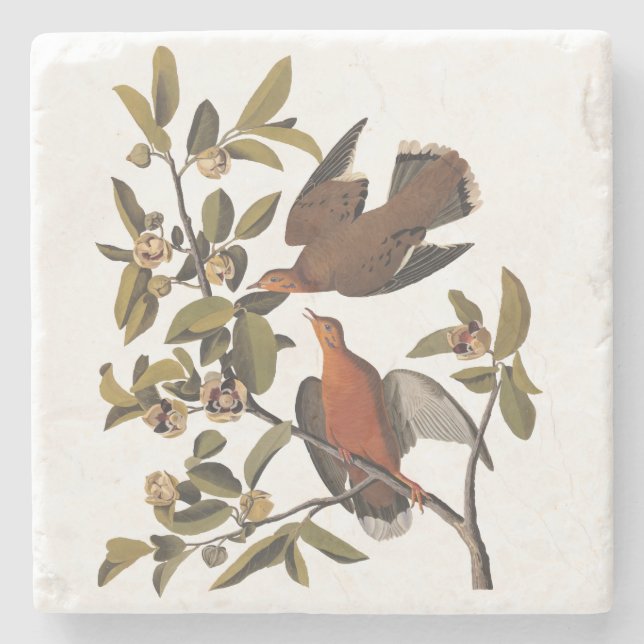 Audubon Zenaida Dove med Flowers Stenunderlägg (Framsidan)