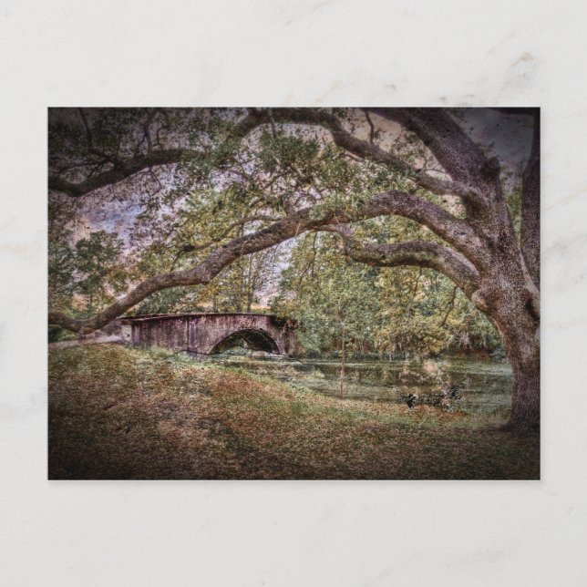 Audubonlagunen Vykort (Framsida)