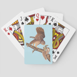 Audubon's Barred Uggla och Squirrel Odd Friends Casinokort