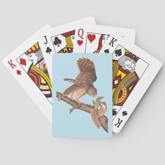 Audubon's Barred Uggla och Squirrel Odd Friends Casinokort (Baksidan)