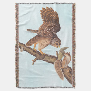 Audubon's Barred Uggla och Squirrel Odd Friends Filt