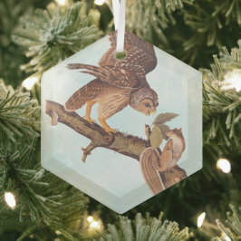 Audubon's Barred Uggla och Squirrel Odd Friends Julgransdekoration