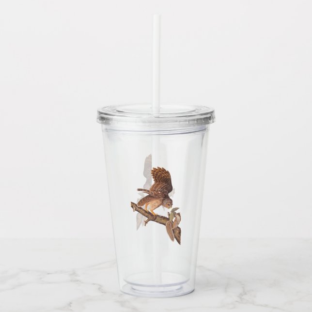 Audubon's Barred Uggla och Squirrel Odd Friends Take Away Mugg (Framsida)