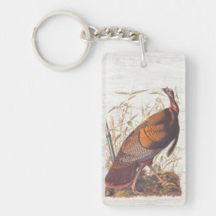 Audubon's Birds of America Vild Turkey Autumn Bird