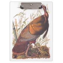 Audubon's Birds of America Vild Turkey Autumn Bird