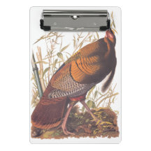Audubon's Birds of America Vild Turkey Autumn Bird