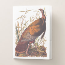 Audubon's Birds of America Vild Turkey Autumn Bird
