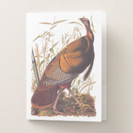 Audubon's Birds of America Vild Turkey Autumn Bird
