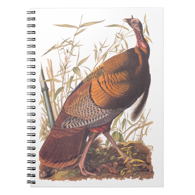 Audubon's Birds of America Vild Turkey Autumn Bird Anteckningsbok (Framsidan)