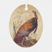 Audubon's Birds of America Vild Turkey Autumn Bird