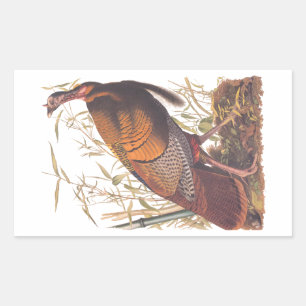 Audubon's Birds of America Vild Turkey Autumn Bird Rektangulärt Klistermärke