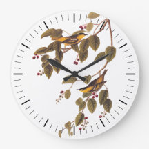 Audubon's Carbonated Warbler Bird on Service Träd