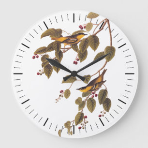Audubon's Carbonated Warbler Bird on Service Träd Stor Klocka