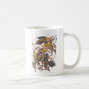 Audubon's Carolina Parakeet Kaffemugg