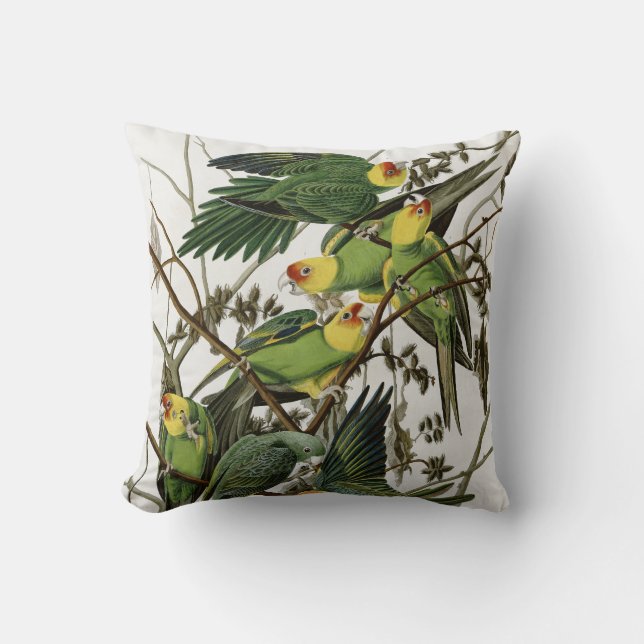 Audubon's Carolina Parakeet Kudde (Framsida)