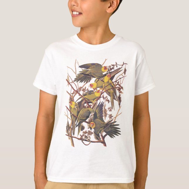 Audubon's Carolina Parakeet Tee Shirt (Framsida)