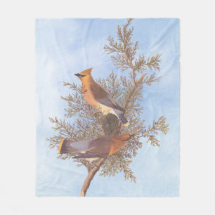 Audubon's Cedar Waxwing Bird Pair on Evergreen Fleecefilt