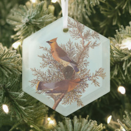 Audubon's Cedar Waxwing Bird Pair on Evergreen Julgransdekoration