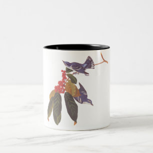 Audubon's Cerulean Warbler Bird with Red Berries Två-Tonad Mugg