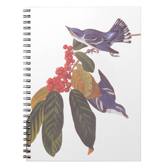 Audubon's Cerulean Warbler Birds with Bear Berries Anteckningsbok (Framsidan)