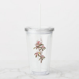 Audubon's Cuvier's Kinglet Bird on Rosa Calico Take Away Mugg