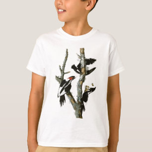 Audubons Elfenben-fakturerade hackspett T-shirt