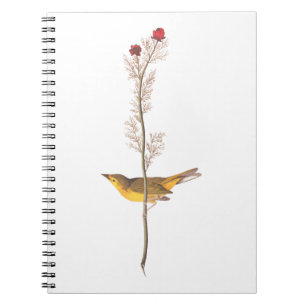Audubon's Hooded Warbler Bird on Red Flower Anteckningsbok