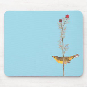 Audubon's Hooded Warbler Bird on Red Flower Musmatta