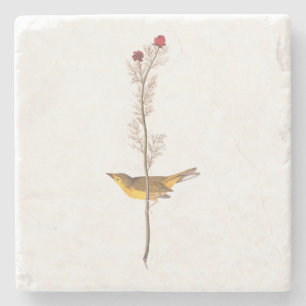 Audubon's Hooded Warbler Bird on Red Flower Stenunderlägg