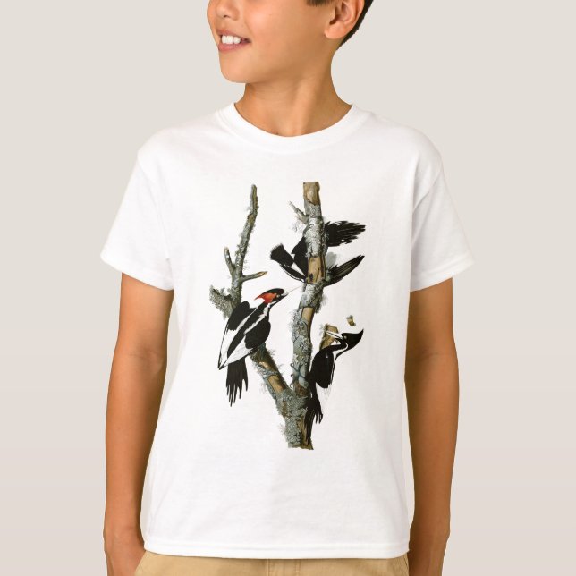 Audubon's Ivory-pocker T-shirt (Framsida)