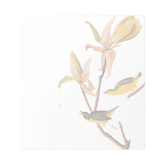 Audubon's Kentucky Warbler Bird Pair med en Spider Anteckningsblock (Framsida)