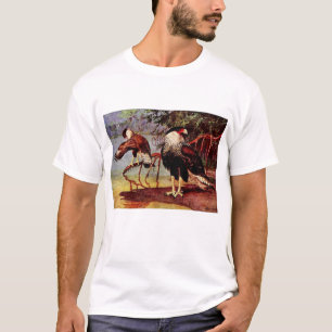 Audubons krönade Caracara, 2 åldrar T Shirt