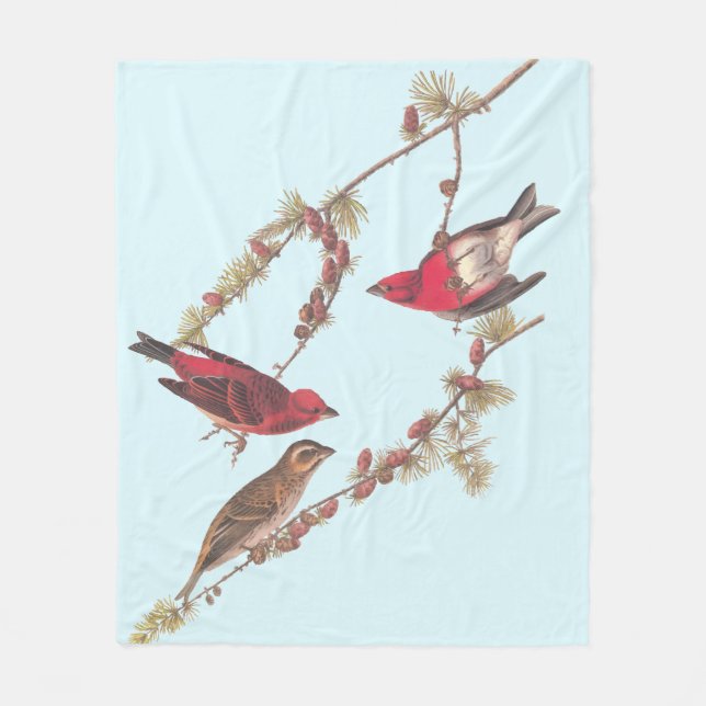 Audubons Lila Finch Three Red Birds in Winter Fleecefilt (Framsidan)