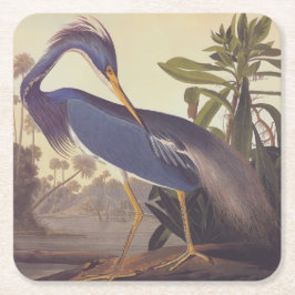 Audubon's Louisiana Heron eller Tricolor Heron Underlägg Papper Kvadrat