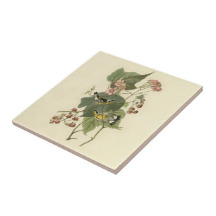 Audubons Magnolia Warbler Kakelplatta