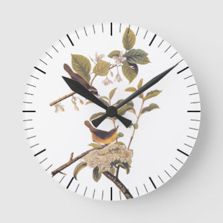 Audubon's Maryland Yellowhalsfåglar med blommor Rund Klocka