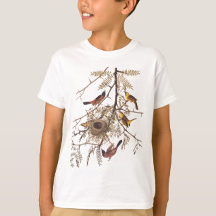 Audubon's Orchard Oriole Bird in honey Locust Träd T-shirt