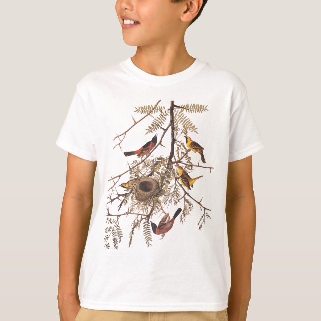 Audubon's Orchard Oriole Bird in honey Locust Träd T-shirt (Framsida)