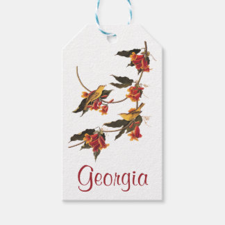 Audubon's Rathbone's Warbler Birds on Crossvine Presentetikett