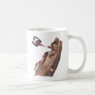 Audubon's Red Headed woodpeckers Kaffemugg