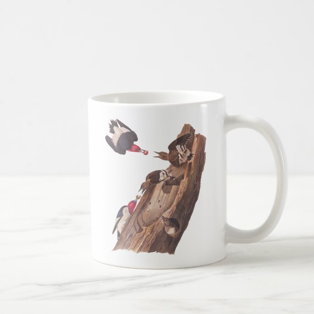 Audubon's Red Headed woodpeckers Kaffemugg (Höger)