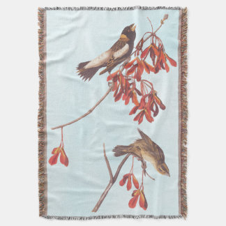 Audubons Ris Bunting Birds eller Bobolink Birds Filt