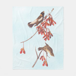 Audubons Ris Bunting Birds eller Bobolink Birds Fleecefilt