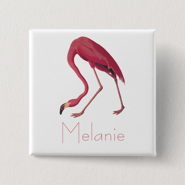 Audubon's Rosa Flamingo Vintage Birds of America Knapp (Framsida)