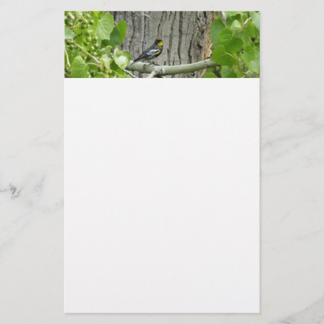 Audubons sångare Naturfotografi Brevpapper (Framsida)