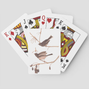Audubons Snö-fåglar på Winter Träd Gren Casinokort