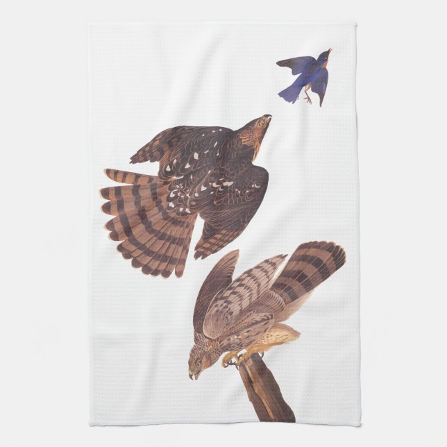 Audubon's Stanley's Hawks Hunting a Blue Bird Kökshandduk (Vertikal)