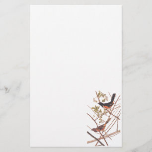Audubon's Towee Bunting Brevpapper